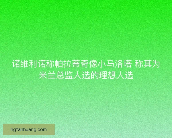 诺维利诺称帕拉蒂奇像小马洛塔 称其为米兰总监人选的理想人选