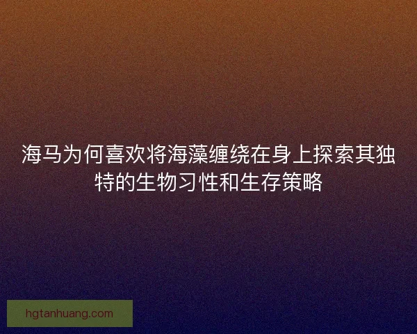 海马为何喜欢将海藻缠绕在身上探索其独特的生物习性和生存策略